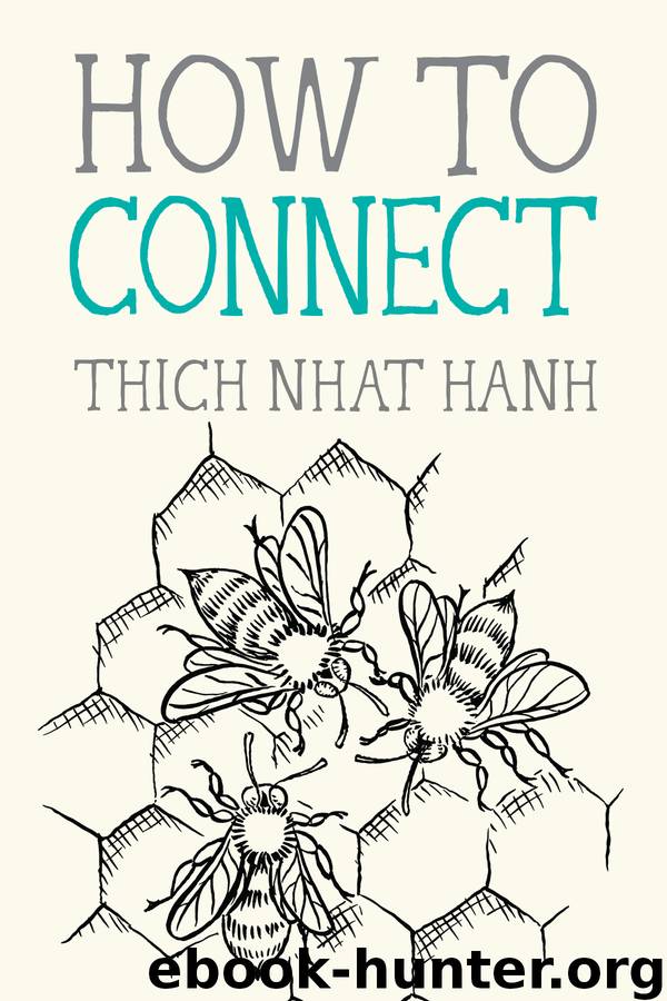 How to Connect by Thich Nhat Hanh & Jason DeAntonis