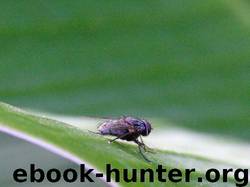 How to Deal With Infestations by Daniel Taylor