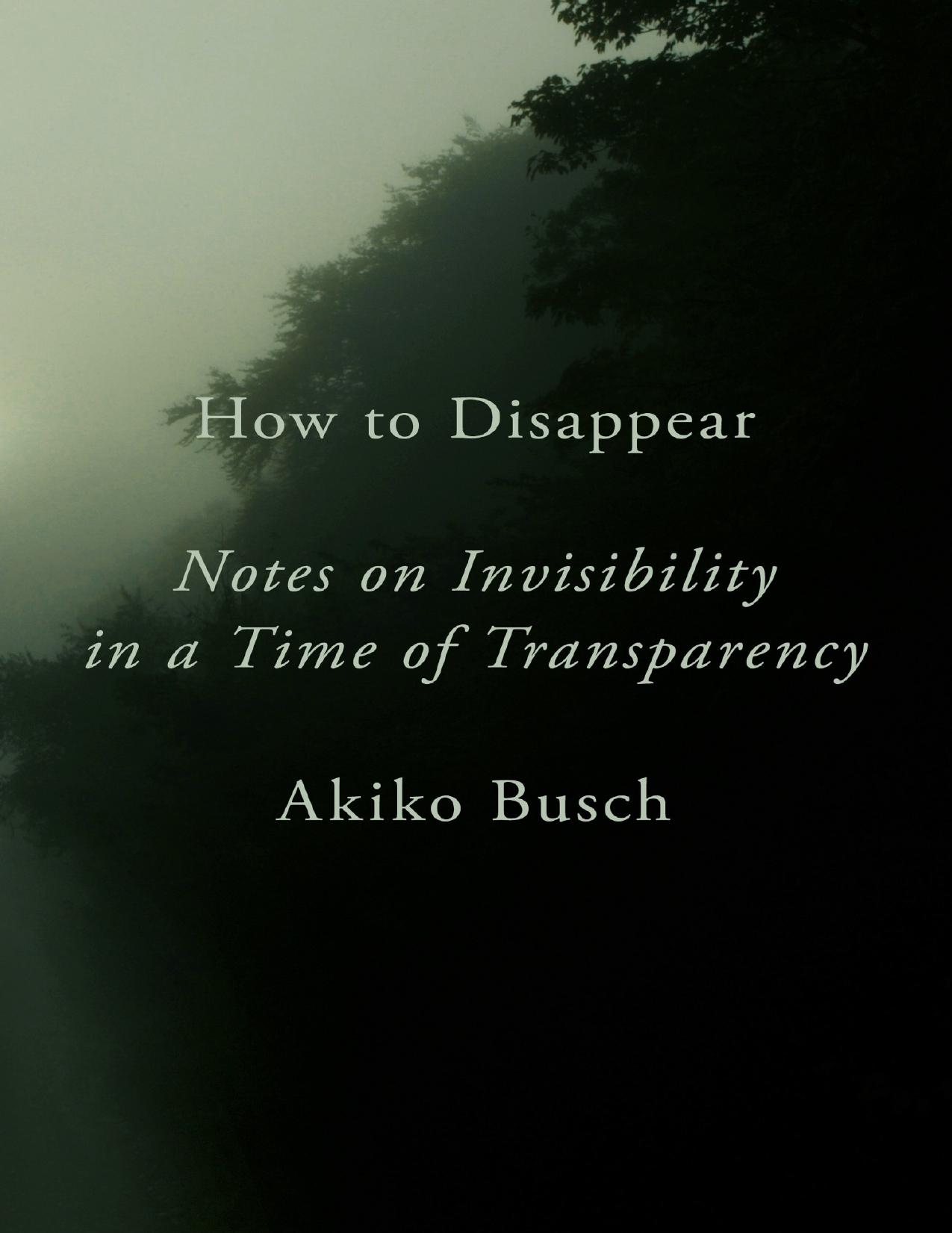 How to Disappear by Akiko Busch;