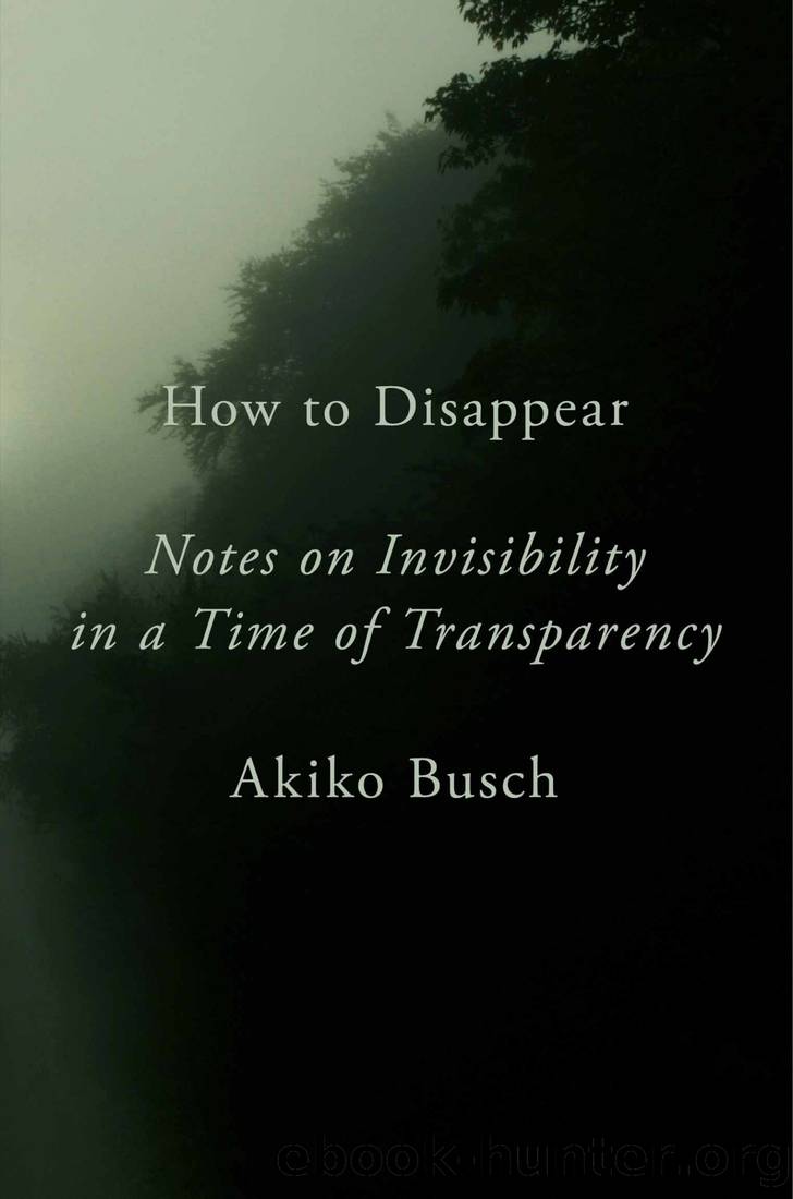 How to Disappear by Akiko Busch