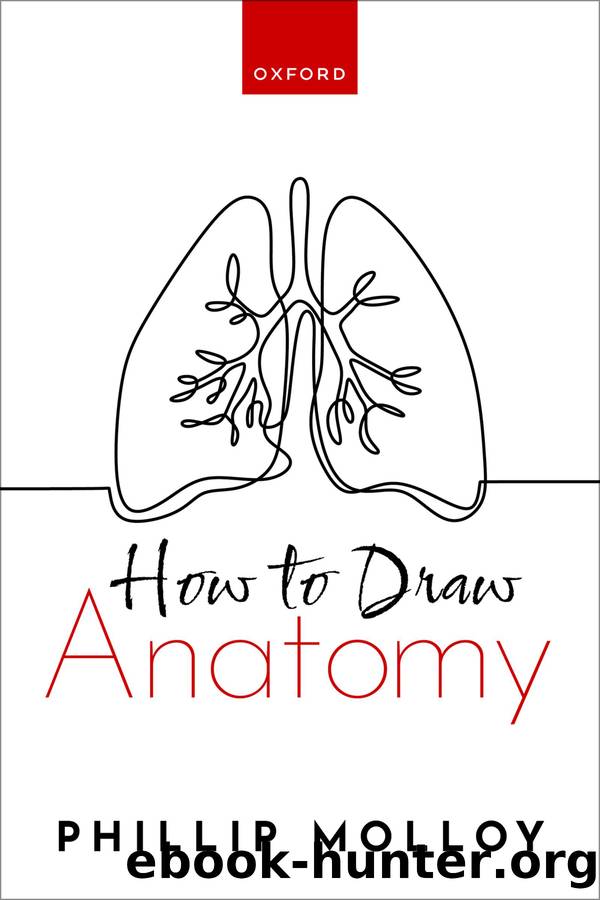 How to Draw Anatomy by Molloy Phillip;