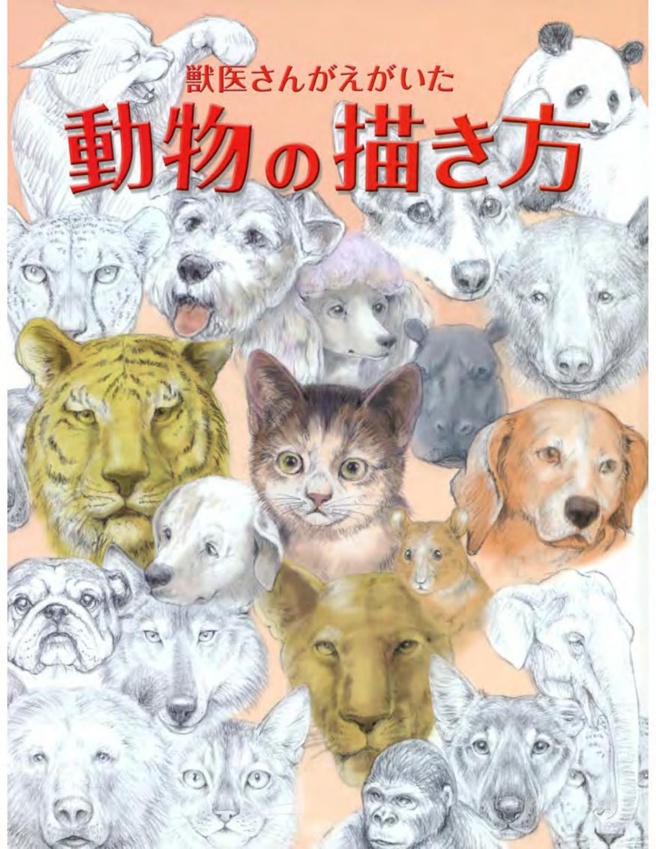 How to Draw Animals by JP