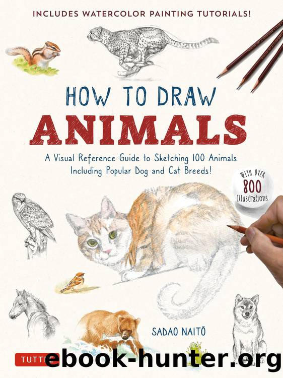 How to Draw Animals by Sadao Naitō
