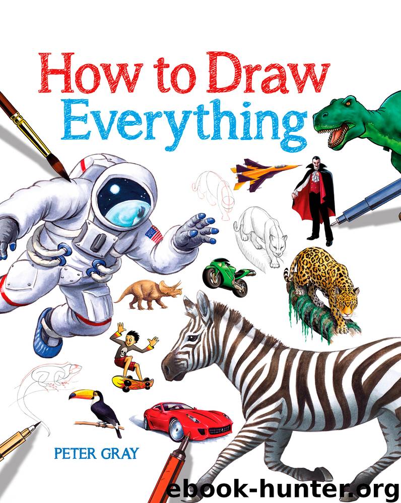 How to Draw Everything by Peter Gray