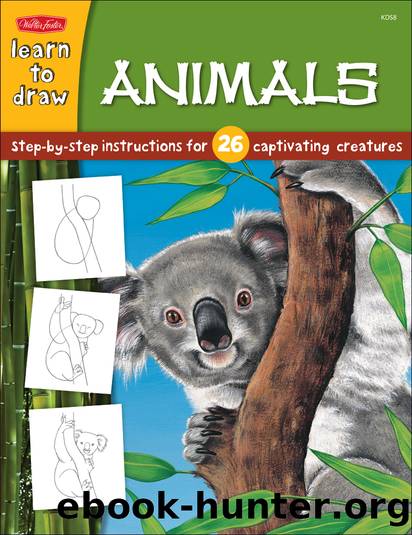 How to Draw Zoo Animals by Diana Fisher