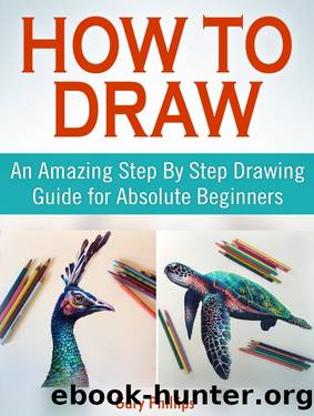 How to Draw by Gary Phillips