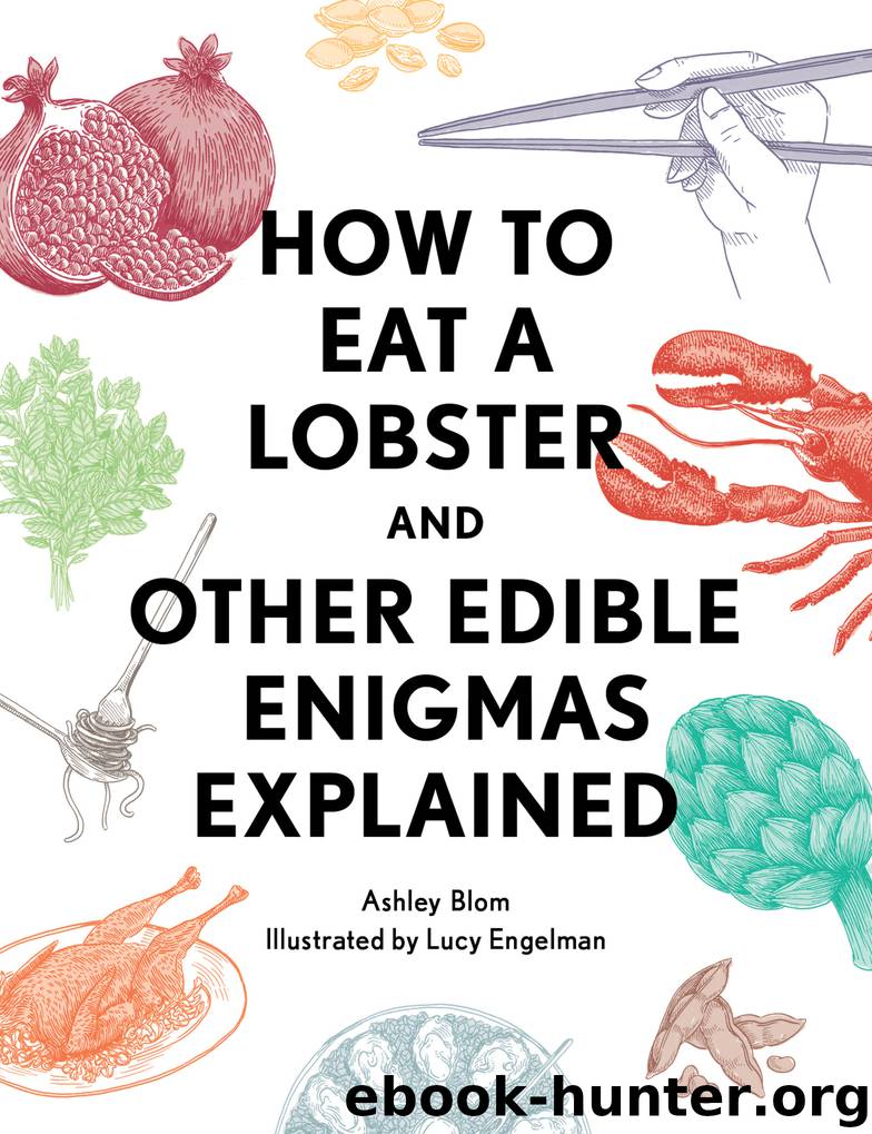 How to Eat a Lobster by Ashley Blom