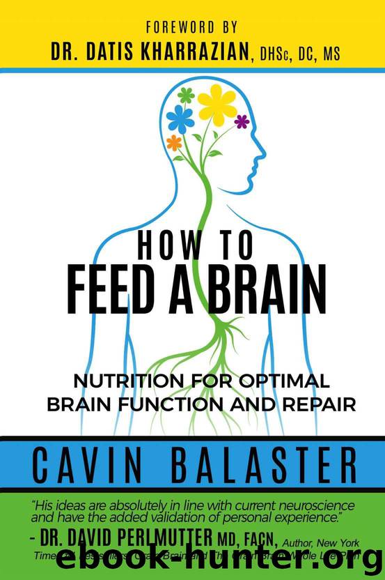 How to Feed a Brain: Nutrition for Optimal Brain Function and Repair by Balaster Cavin