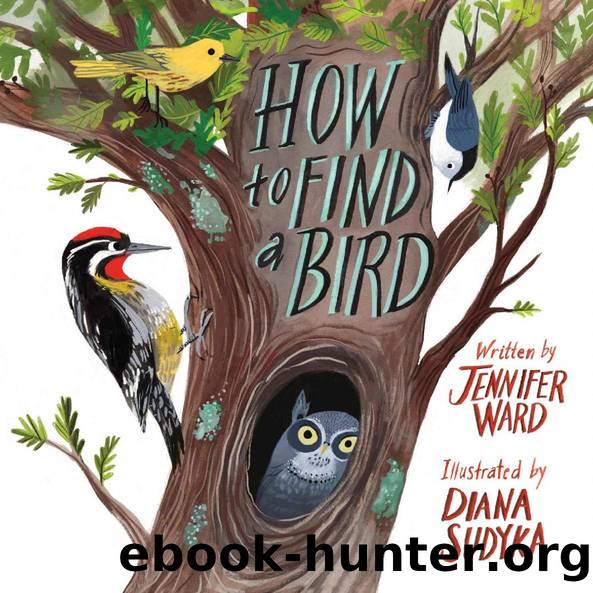 How to Find a Bird by Jennifer Ward