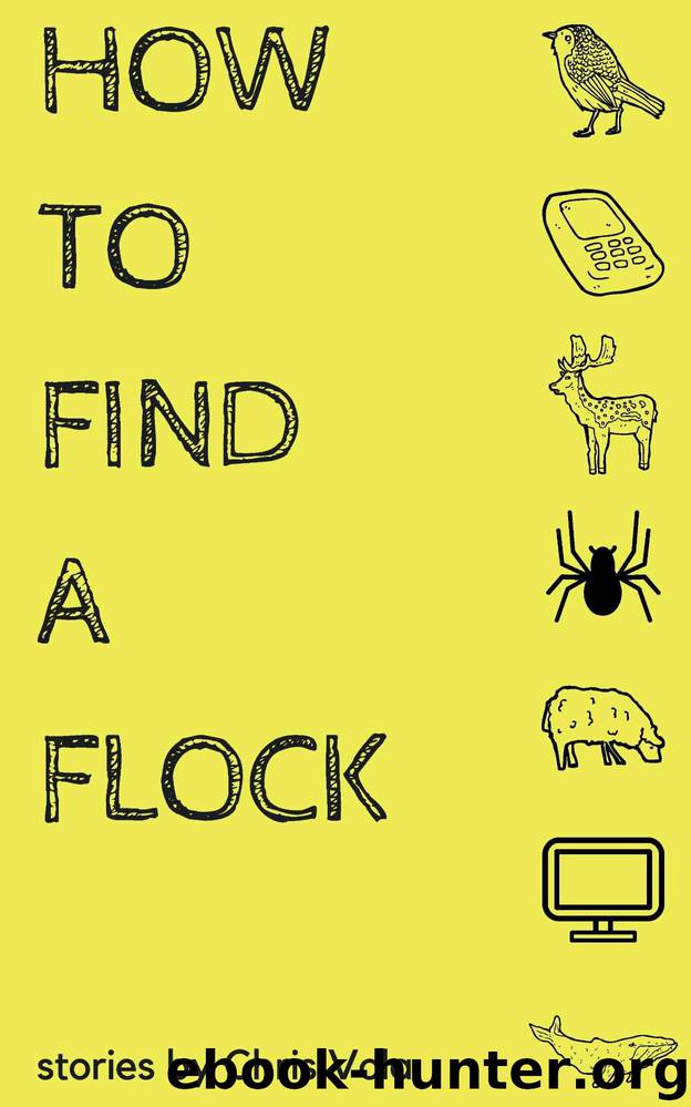 How to Find a Flock by Vola Chris
