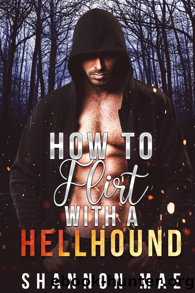 How to Flirt with a Hellhound (Hellhounds of Paradise Falls Book 1) by Shannon Mae