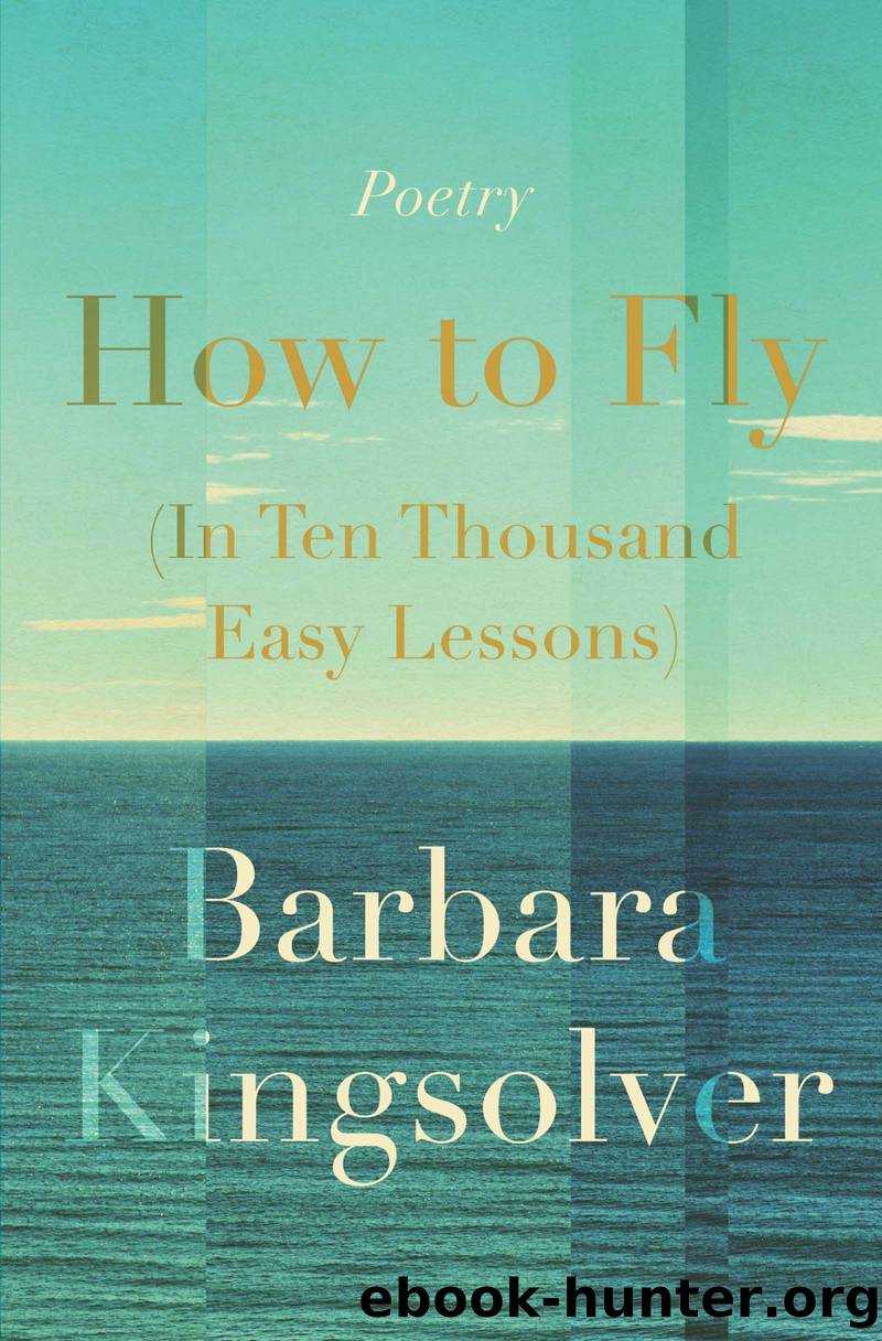 How to Fly (In Ten Thousand Easy Lessons) by Barbara Kingsolver