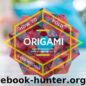 How to Fold Origami by David Mitchell