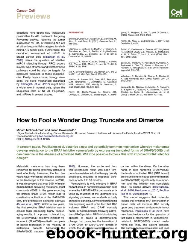 How to Fool a Wonder Drug: Truncate and Dimerize by Miriam Molina-Arcas and Julian Downward