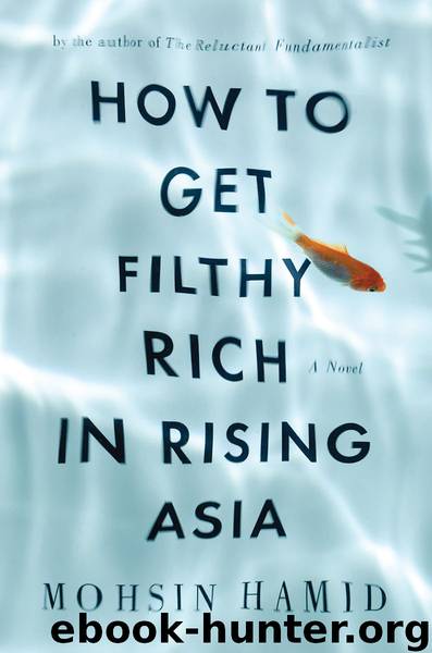 How to Get Filthy Rich in Rising Asia by Mohsin Hamid