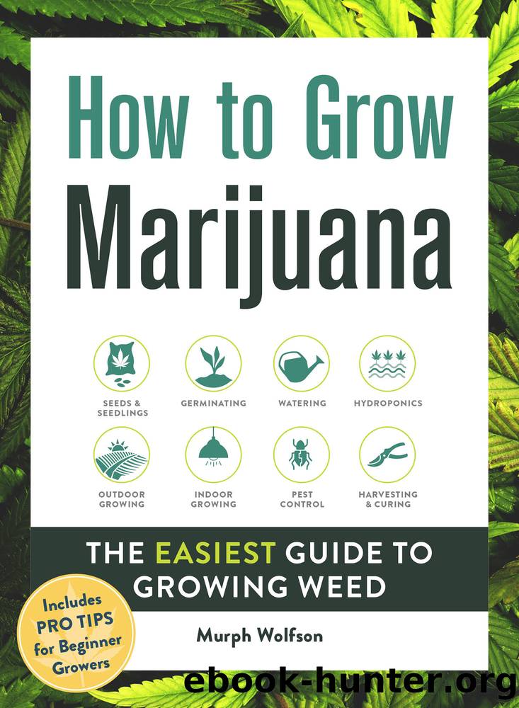 How to Grow Marijuana by Murph Wolfson