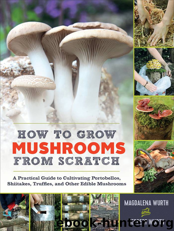 How to Grow Mushrooms from Scratch by Magdalena Wurth