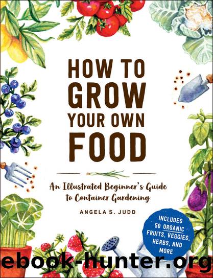 How to Grow Your Own Food by Angela S. Judd