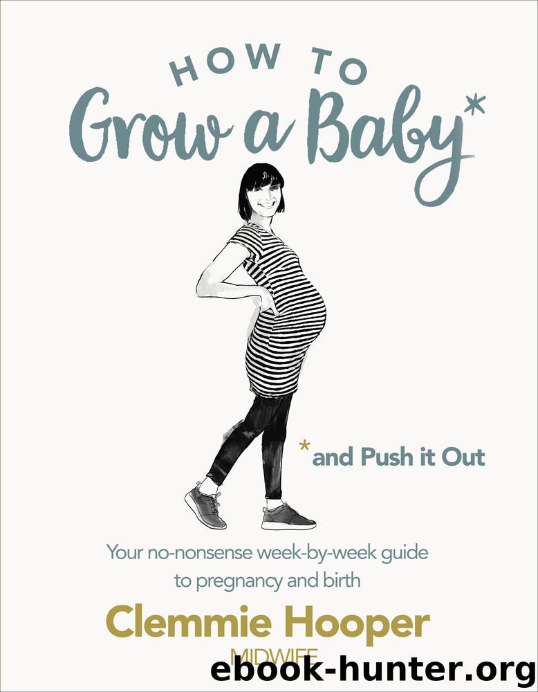 How to Grow a Baby and Push It Out by Clemmie Hooper