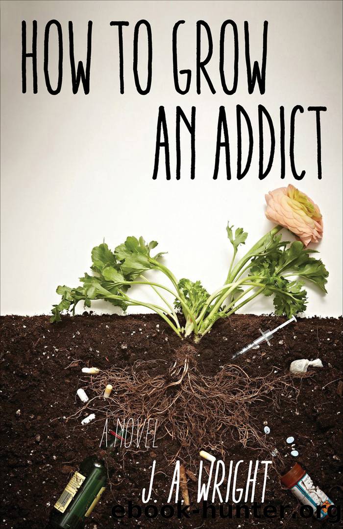 How to Grow an Addict by J. A. Wright