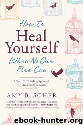 How to Heal Yourself When No One Else Can by Amy B. Scher