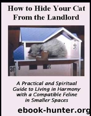 How to Hide Your Cat From the Landlord by Jasmine Kinnear