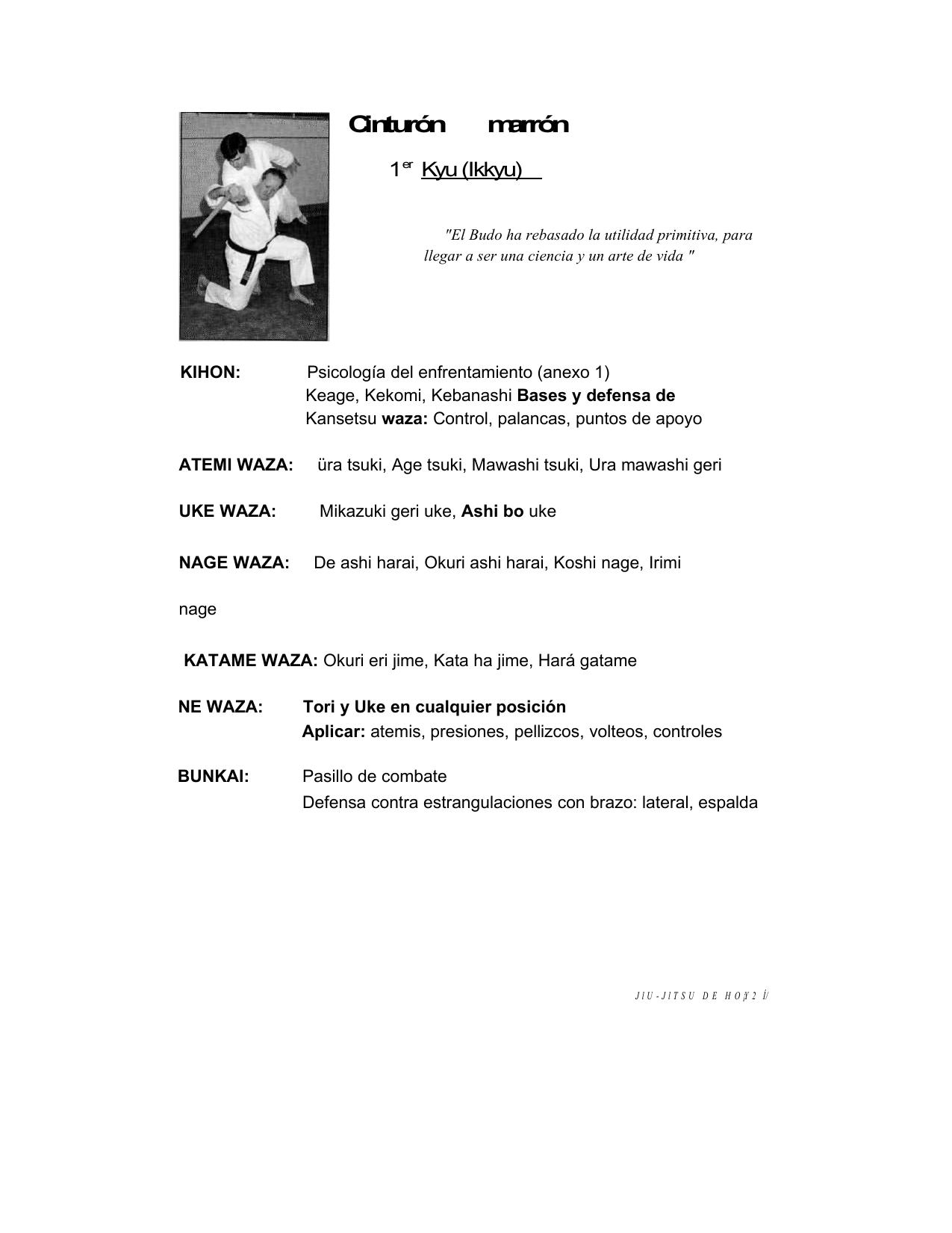 How to Jiu Jitsu for Beginners: Your Step by Step Guide by Un