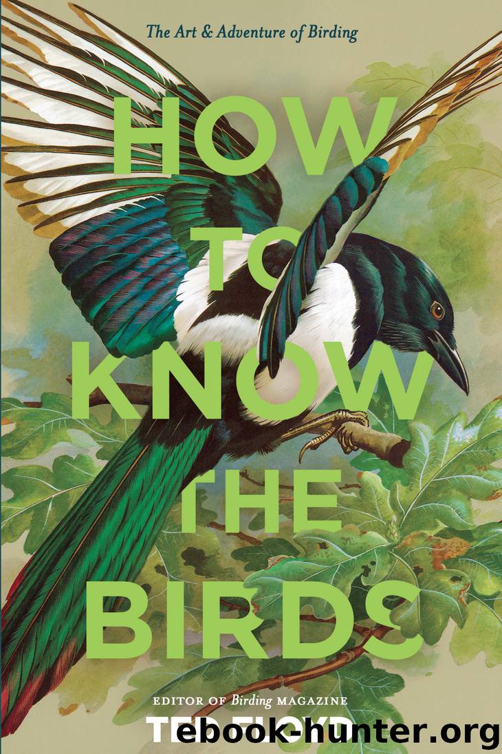 How to Know the Birds by Ted Floyd