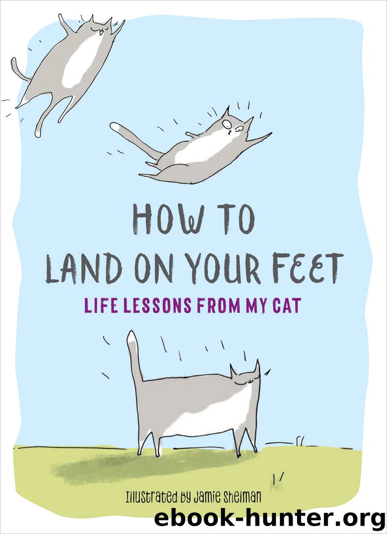 How to Land on Your Feet by Jamie Shelman