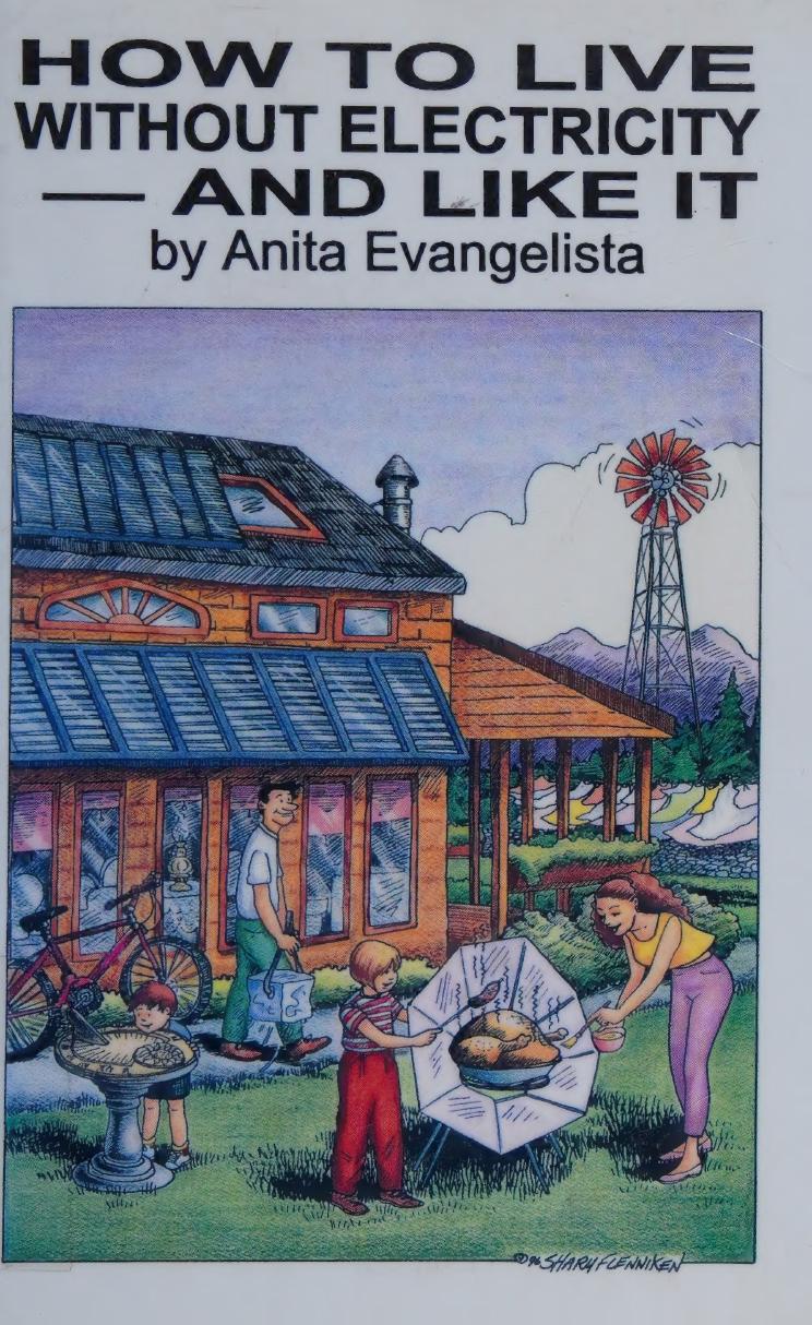 How to Live Without Electricity & Like It by Anita Evangelista
