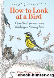 How to Look at a Bird by Clare Walker Leslie