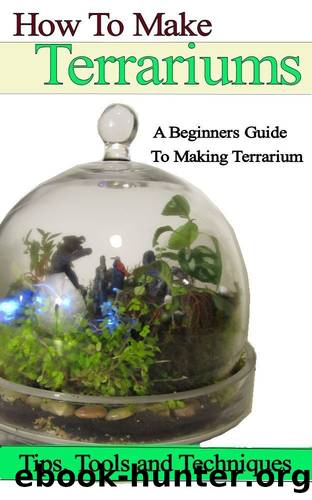 How to Make Terrariums by Will Kalif