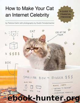 How to Make Your Cat an Internet Celebrity by Patricia Carlin