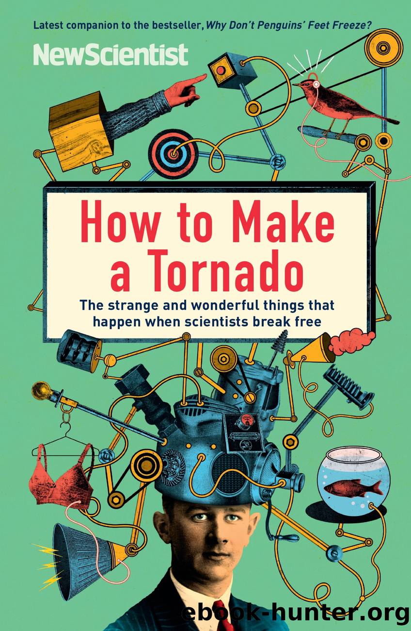 How to Make a Tornado by Author
