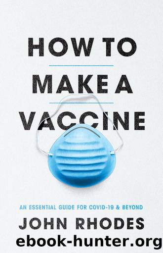How to Make a Vaccine by John Rhodes
