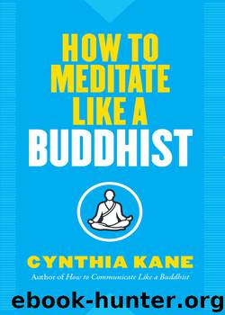 How to Meditate Like a Buddhist by Cynthia Kane