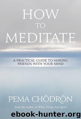 How to Meditate: A Practical Guide to Making Friends with Your Mind by Pema Chödrön