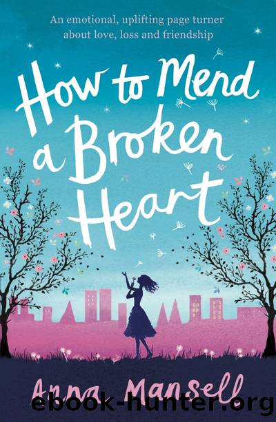 How to Mend a Broken Heart by Anna Mansell