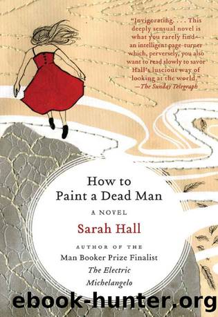 How to Paint a Dead Man (P.S.) by Sarah Hall