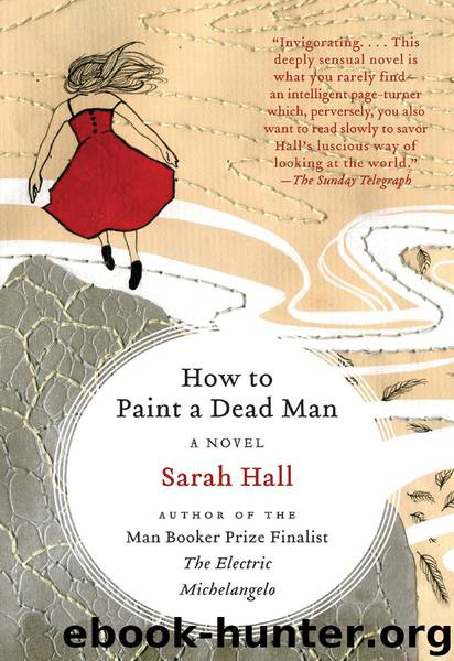 How to Paint a Dead Man by Sarah Hall