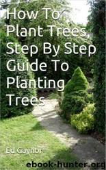 How to Plant Trees, Step by Step Guide to Planting Trees