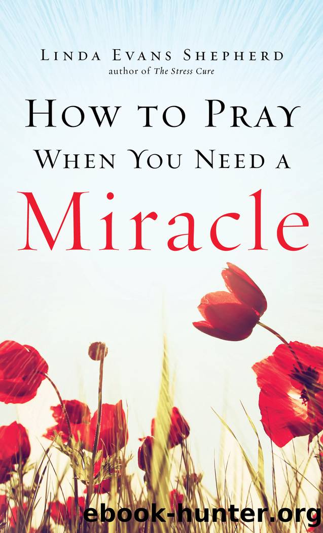 How to Pray When You Need a Miracle by Linda Evans Shepherd