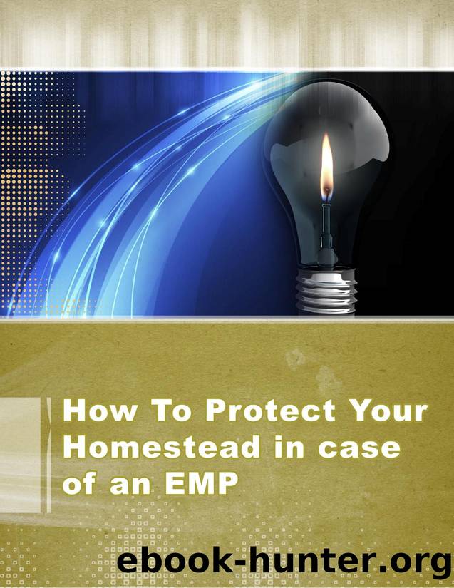 How to Protect Your Homestead in case of an EMP by Rich Murphy