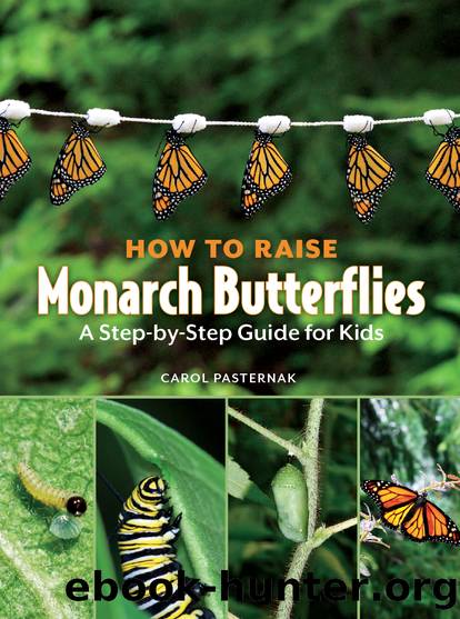 How to Raise Monarch Butterflies by Carol Pasternak