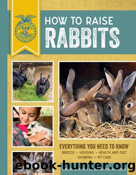 How to Raise Rabbits by Samantha Johnson