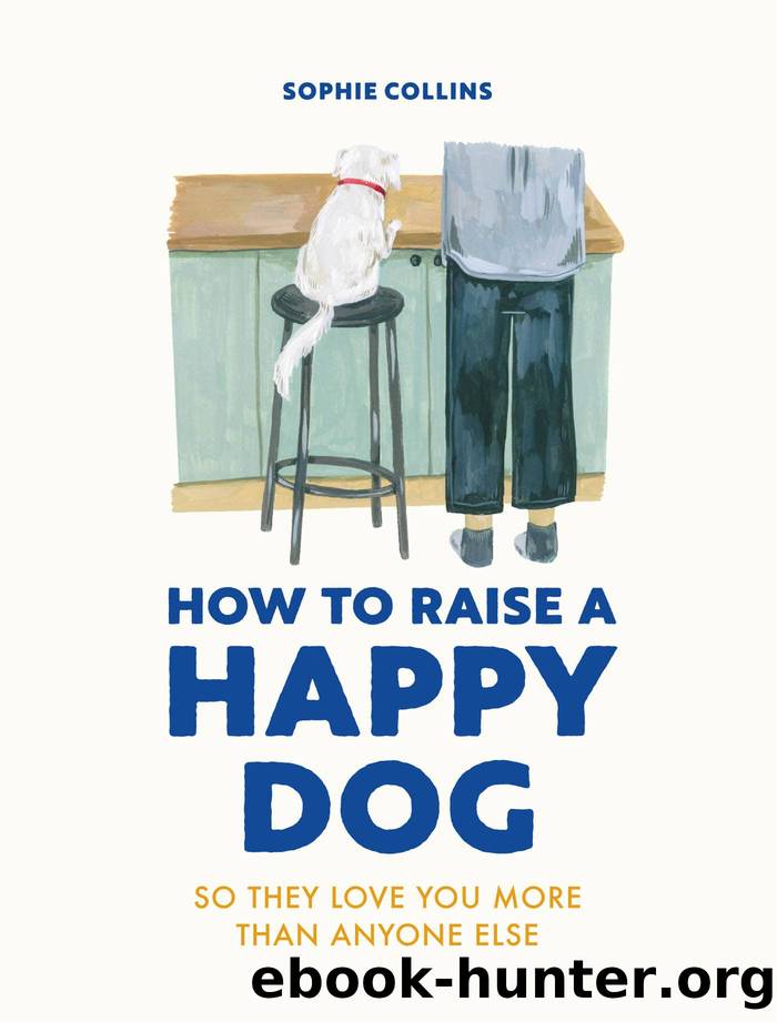 How to Raise a Happy Dog by Collins Sophie;