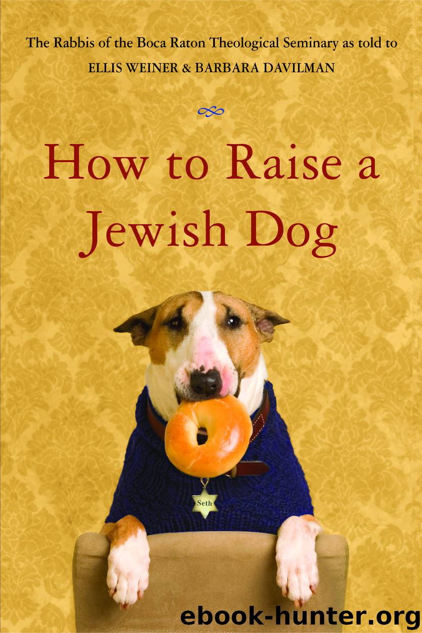 How to Raise a Jewish Dog by Rabbis of Boca Raton Theological Seminary & Barbara Davilman