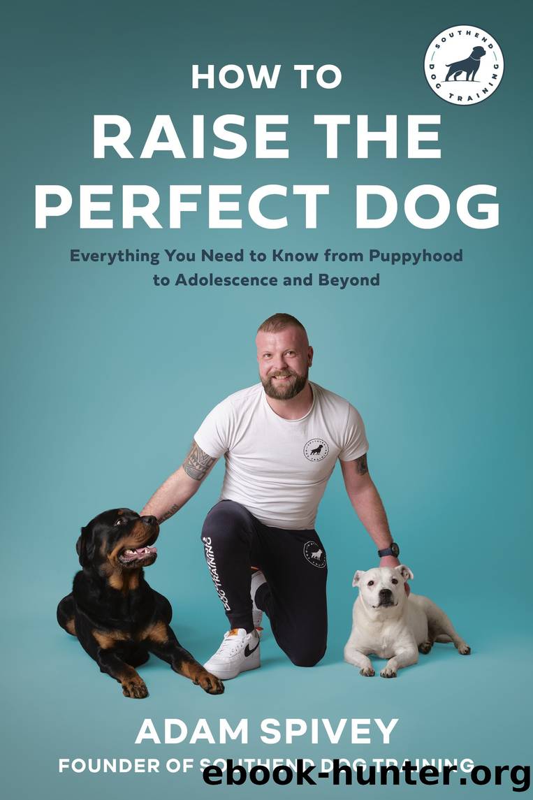 How to Raise the Perfect Dog by Adam Spivey