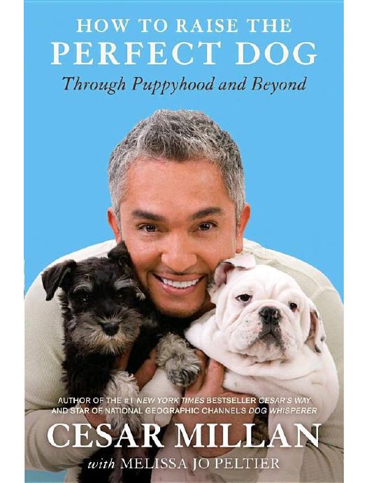How to Raise the Perfect Dog: Through Puppyhood and Beyond by Cesar Millan & Melissa Jo Peltier