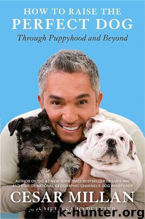 How to Raise the Perfect Dog: Through Puppyhood and Beyond by Melissa Jo Peltier & Cesar Millan